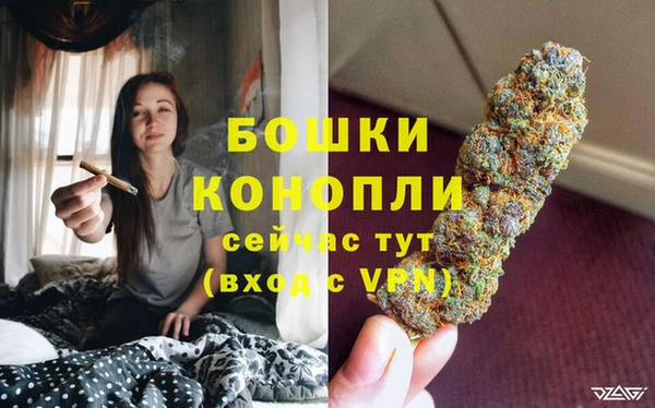 стафф Володарск